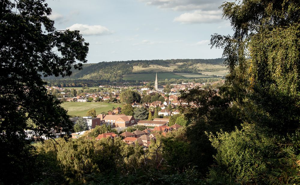 Dorking-1578 (3) (2)